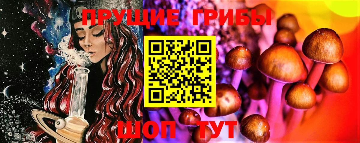Красноперекопск  Псилоцибиновые грибы ЛСД  Вход с VPN 